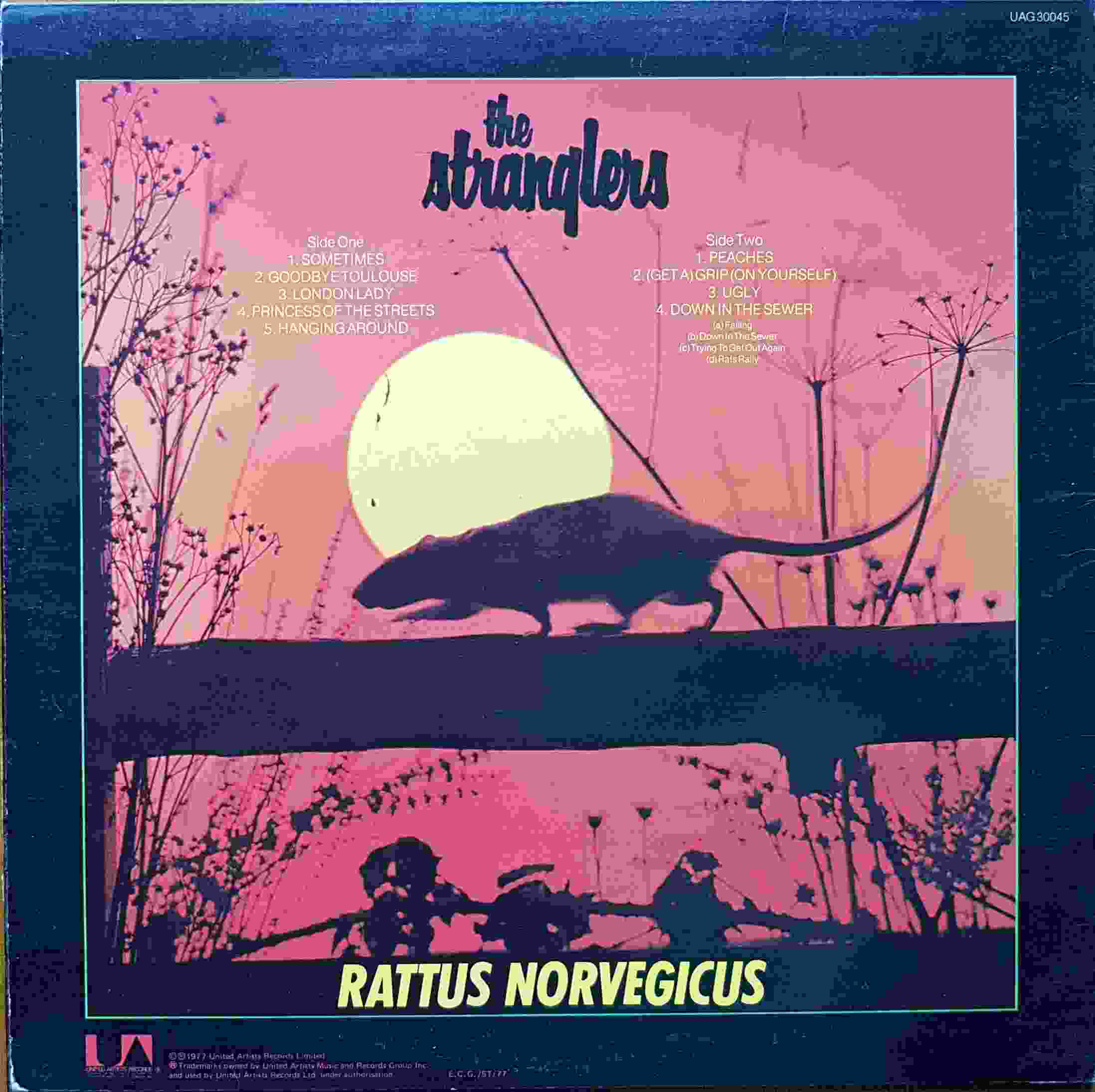 Picture of UAG 30045 Rattus norvegicus by artist The Stranglers  from The Stranglers